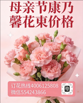 郑州花店母亲节康乃馨花束